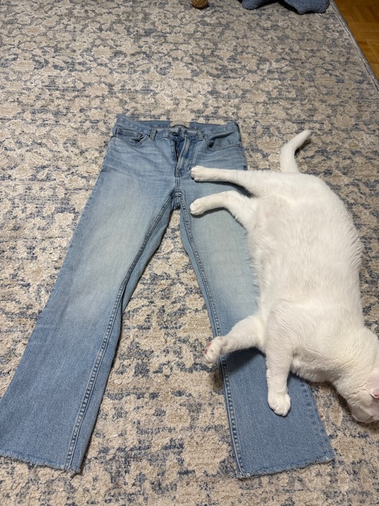 Everlane Denim - Light Blue Women's Straight Crop Jeans